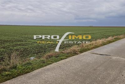 Plaja Corbu-Teren 4200mp. la numai 8 euro /mp. Soseaua asfaltata - 6