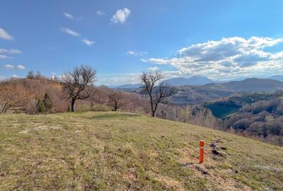 Refugiu de poveste în inima naturii | 12.000 mp în Holbav | Proiect început - 13