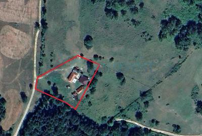 Casa de vacanta cu 4 camere, de vanzare, in Zece Hotare , judet Bihor - 4