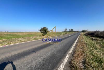 Teren de vanzare- deschidere DN4 138 m  -  Budesti, sat Gruiu - Calarasi - 1