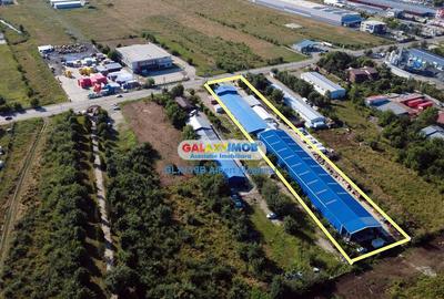 Vanzare 2 Hale 2515 mp + teren 6200 mp Magurele - 8
