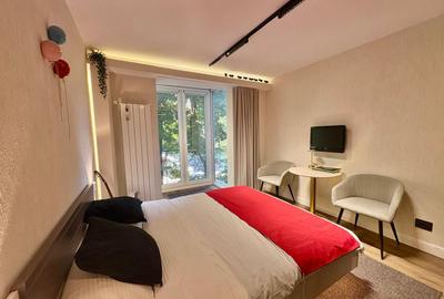 Victoriei, Veronica Micle - apartament 2 camere renovat de inchiriat. - 10