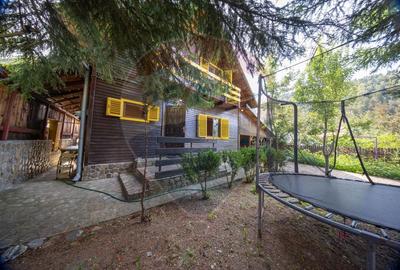 Casă de vacantă , in mijlocul naturii! - 20