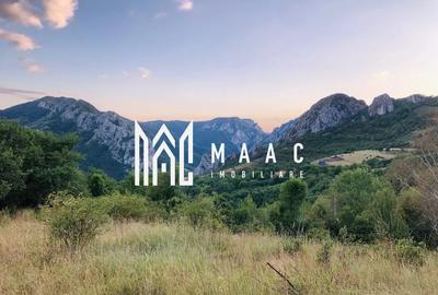 Teren cu potențial turistic I 3174 MP | TransApuseana - 1