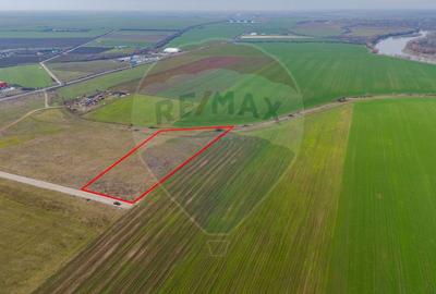 Teren intravilan 10.000 mp în Zona Industrială Sud Arad - 10