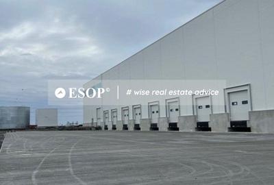 Mures City Logistic, spatii industriale, 2000 - 12.000mp, 0% comision - 7