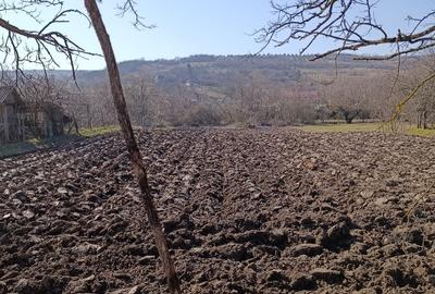 Vand teren intravilan sat Borsa, jud. Cluj, zona linistita - 3