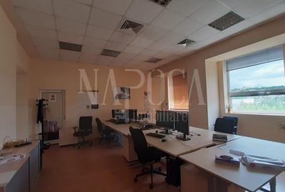 Birou de vanzare in Dambul Rotund, Cluj Napoca - 3
