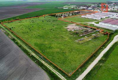 Teren intravilan cu suprafata de 58.340 mp, in Sanmartinul Sarbesc - 2