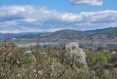 Pamant vanzare | Lac Zigoneni | Valea Lui Enache | Priveliște superba - 7