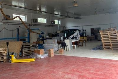 ZONA INDUSTRIALA hale de inchiriat diferite suprafete 5E/mp +TVA - 10