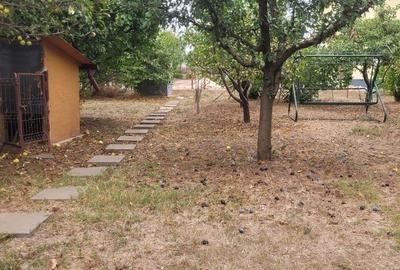 CASA SUPERBA 4 CAMERE ZONA VALU LUI TRAIAN 933MP - 37