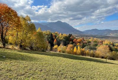 Teren intravilan zona Zarnesti-Tohanita cu priveliste,  intre 500 si 1000 mp