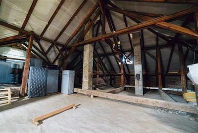 Vila in stil Art Nouveau (Targu Mures, str. Alexandru Papiu Ilarian) - 43