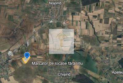 🏡 Teren ideal pentru investiție – Nojorid, Bihor - 3