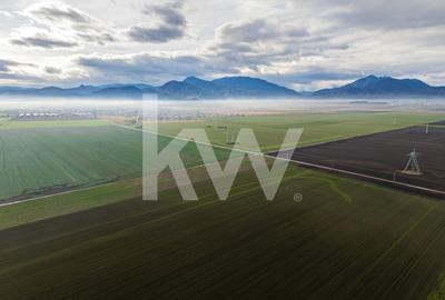 Teren exceptional pentru investitii industriale langa Brasov - 6