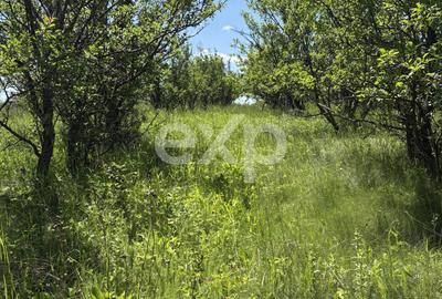 Teren 2.200 mp lângă pădure, la 11 km de Pitești – ideal pentru casă și relaxare - 7