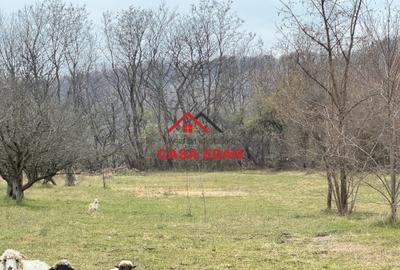 Teren intravilan in Brebu--2080mp--22e - 8