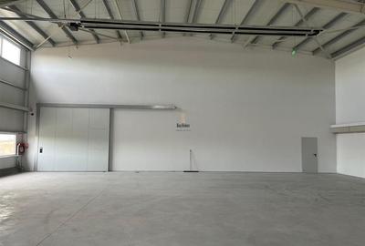 Spatiu Industrial - 1250 mp - Depozitare - Distributie - 1