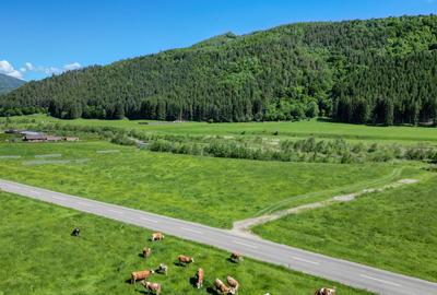 Teren intravilan In Zarnesti zona Plaiul Foii deschidere asfalt si priveliste - 3
