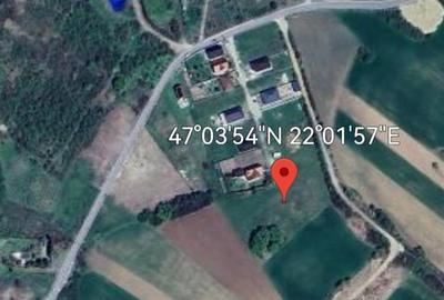 Teren Construcții intravilan de 5755 mp, în Podgoria