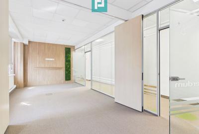 Birouri Ultracentrale, 185,5 mp, Parcare Proprie - 5