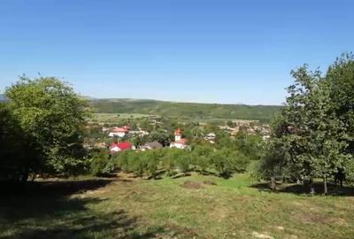 Teren intravilan + extravilan 10.537 mp – casa, livada sau ferma de familie - 7