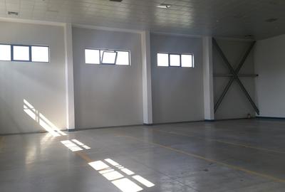 Showroom cu Spațiu de Depozitare — 700 mp | Otopeni - 2