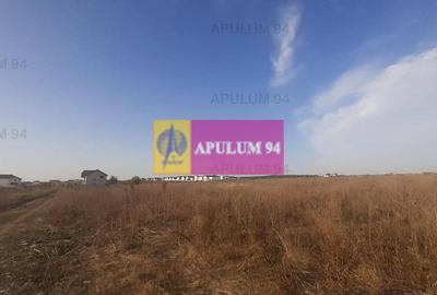 Teren bun mare și ieftin - 40