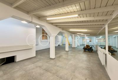 Vila spatioasa | Complet renovată | Central - 4