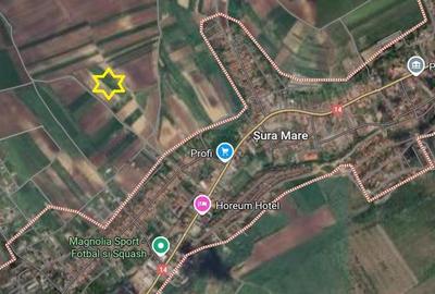 Teren 5000mp cu livada in Sura Mare - panorama deosebita - 1