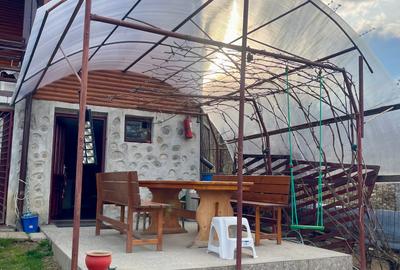 Inchiriem cabana in Calimanesti (Seaca), cu ponton la Olt, gradina - 8