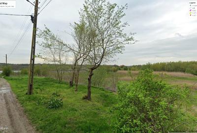 Teren Darvari 1,000mp, aproape de Balta Mostistea - 1