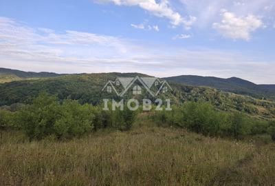 Teren spectaculos cu padure, livada si priveliste panoramica in Soimari PH - 12