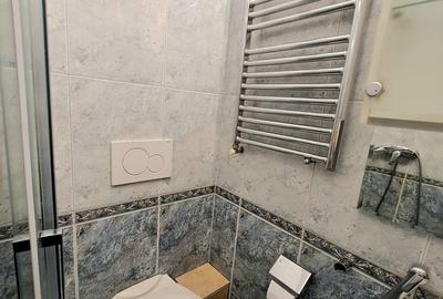 APARTAMENT 2 CAM DEOSEBIT AMENAJAT,  ROMANA, PIATA AMZEI, CALEA VICTORIEI - 10
