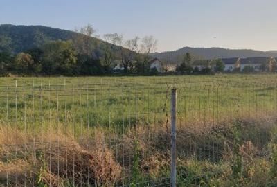 5200 sau 2600 mp teren vanzare,direct proprietar, parcelabil, apropiere Arinis - 9