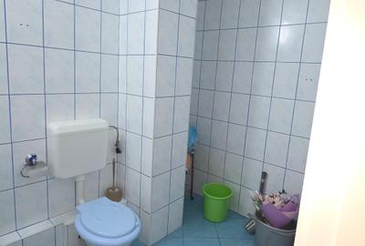 Colentina Rau, Radovanu, semistradal, centrala termica proprie - 12