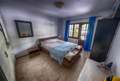 Vila de Vis cu Panorama Spectaculoasa ,INDEPENDENTA  ENERGETIC -Bucium - 14