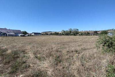 Teren intr. în centrul satului Brebeni, lângă Slatina. Împărțit în 4 parcele. - 6