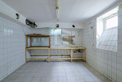 PIATA ROMANA - Calea Dorobanti | Vila - Spatiu Comercial - 30