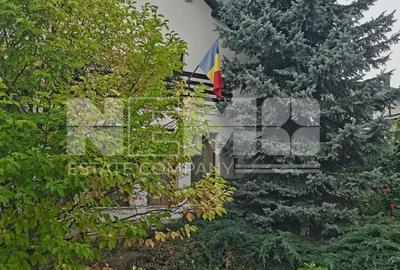 Casă/Vila + Teren 13 Ari de Vânzare |Lisaura/Suceava I 280.000 Euro - 24