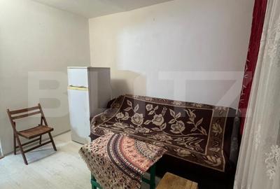 Camera de camin, 17 mp, zona Bularga - 5