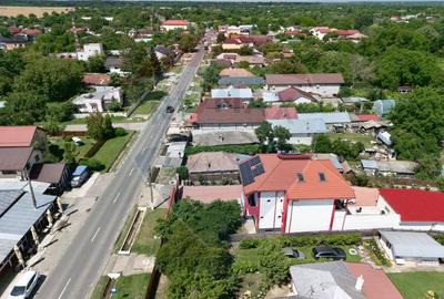 Vila cu Gradina generoasa - Oaza de relaxare in Gruiu - 3