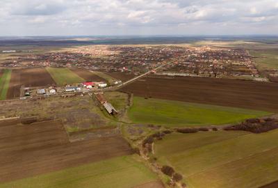 Fermă cu teren intravilan de 35000 mp în Mișca - 2