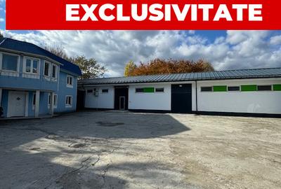 Hale si birouri de inchiriat, str. Constantei, Bacau - 1