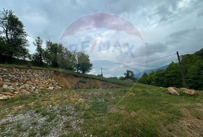 Teren 2,000mp Copalnic-Manastur / Strada Principala - 5