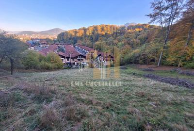 Teren intravilan Brasov Strada Ciresului 2900 mp - 4