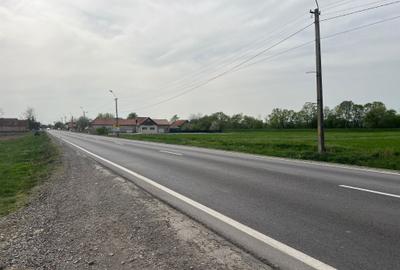 Teren intravilan, 2400 mp, Lunca Calnicului, DN11 - 3