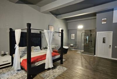 Garsoniera regim hotelier sau spatiu comercial 46 mp utili Terezian - 3