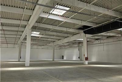 Spatiu Industrial - 3000 mp - Logistica - Productie - Depozitare - Distributie - 6